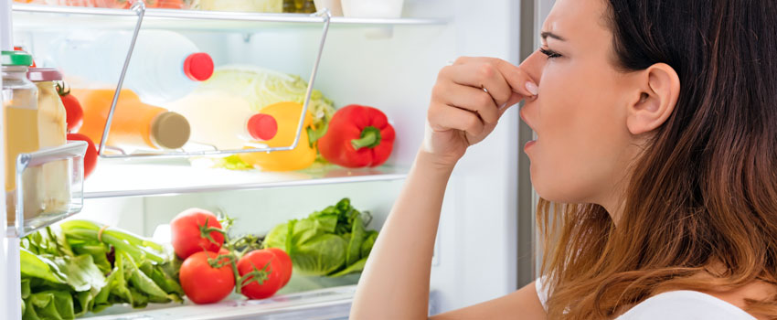 Bad smells in your fridge