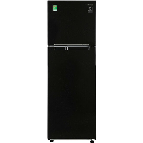 Tủ Lạnh Inverter Samsung RT25M4032BU/SV (256L) - Hàng Chính Hãng - Chỉ Giao tại Hà Nội