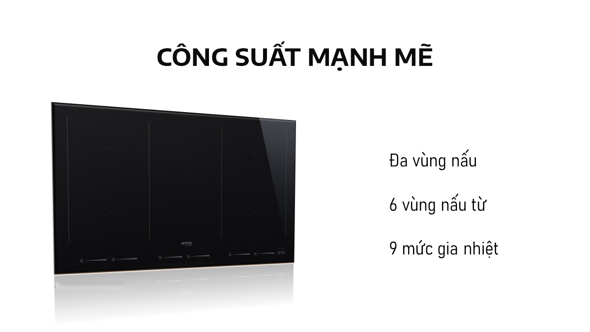 Công suất mạnh mẽ giúp nấu chính nhanh hơn