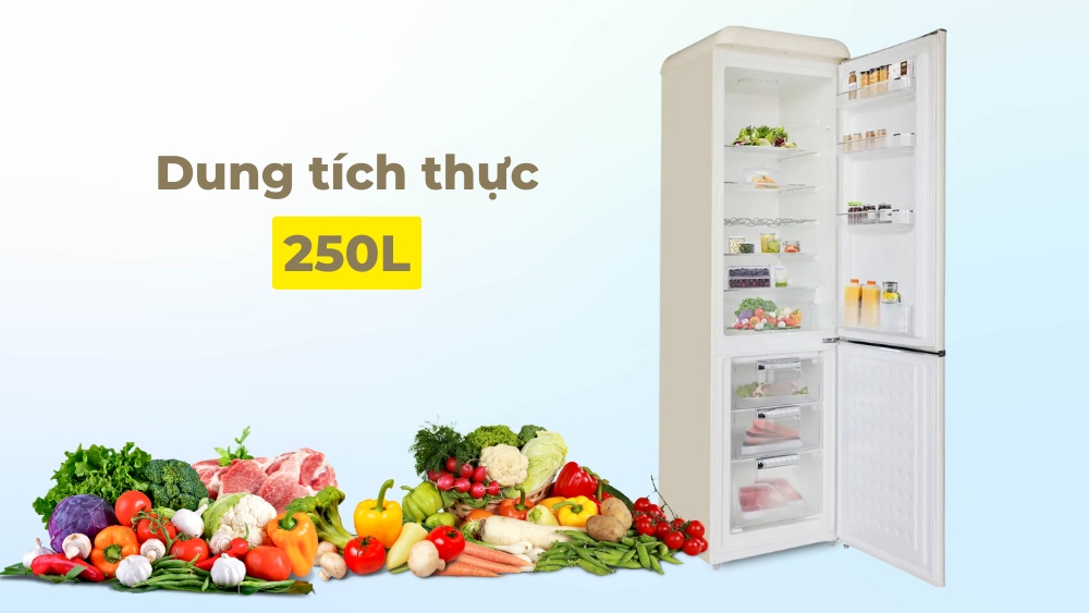 Dung tích 250L phù hợp với gia đình ít thành viên