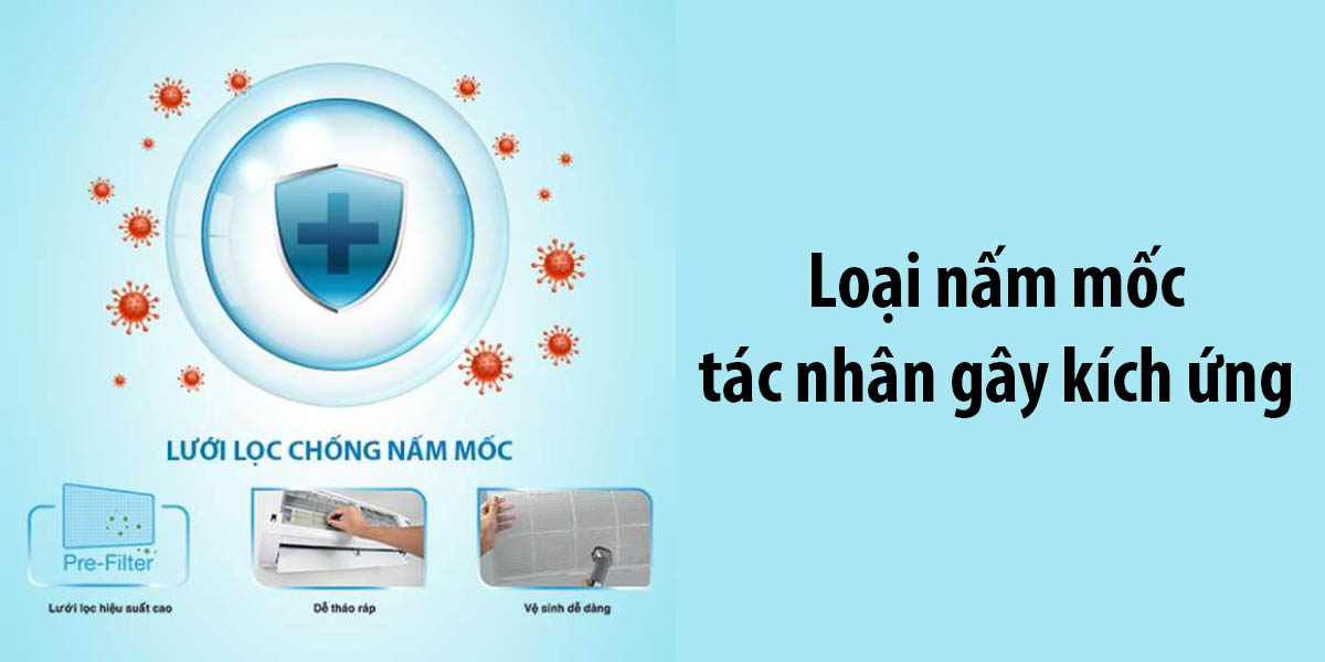 Lưới lọc chống nấm mốc vượt trội