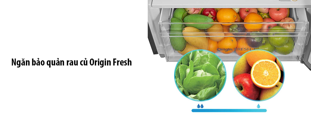 Ngăn bảo quản rau củ Origin Fresh