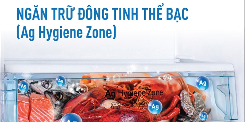 Ngăn trữ đông tinh thể bạc Ag Hygiene Zone