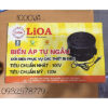 ĐỔI NGUỒN Biến Áp Tự Ngẫu - Bộ Đổi Điện LiOA 1000VA mã SP DN010